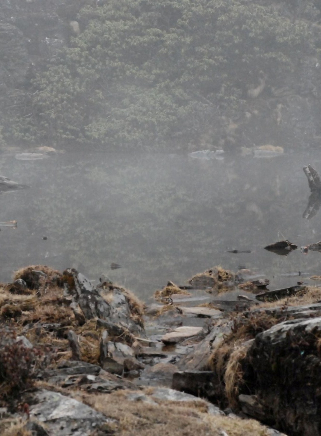 bg auszeichnungen.jpg